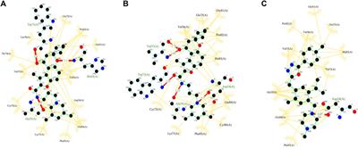 In silico prediction of the animal susceptibility and virtual screening of natural compounds against SARS-CoV-2: Molecular dynamics simulation based analysis